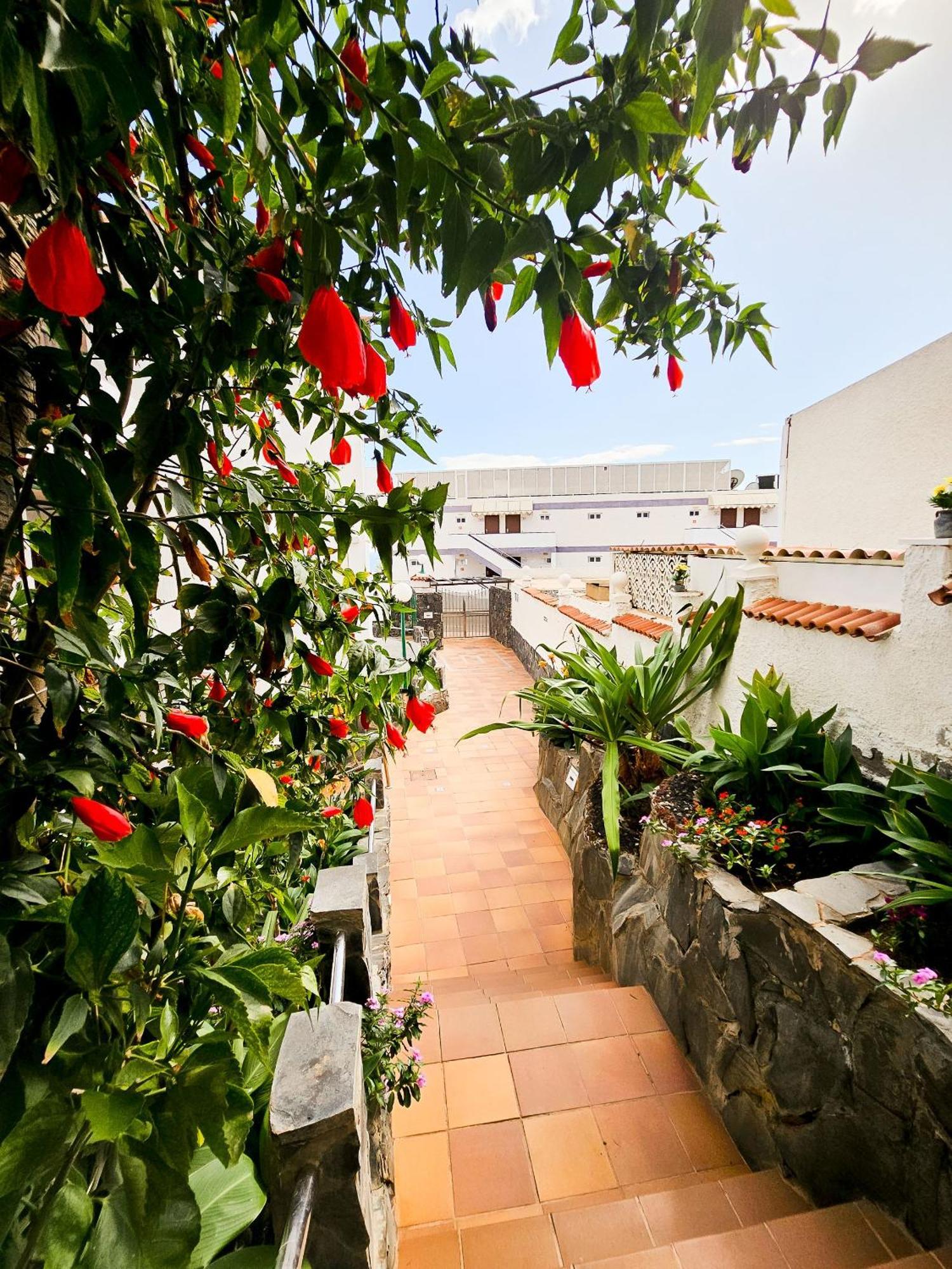 Ferienwohnung Refugio En El Mar San Agustín Exterior foto